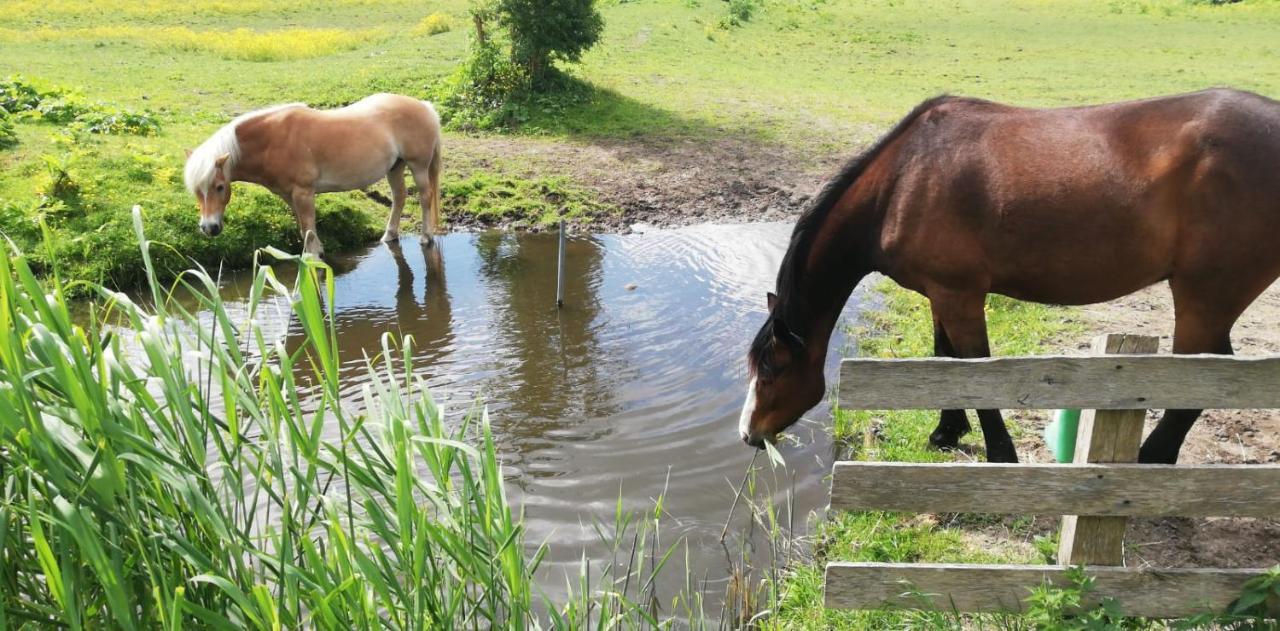 Homestead Amsterdam Bagian luar foto